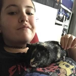 Meet your Posher, Averey